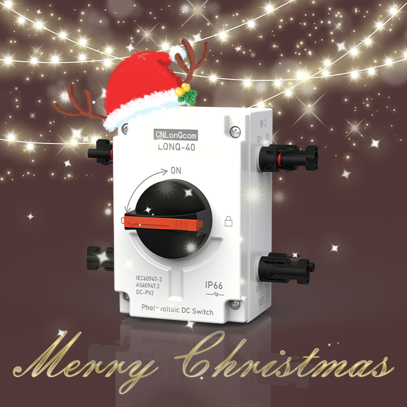 Wenzhou Longqi New Energy Technology Co., Ltd. Ngaturaken Sugeng Natal