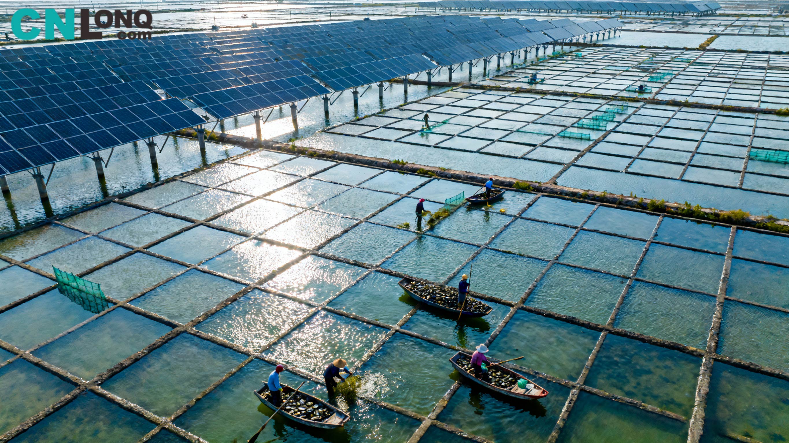 Total investasi RMB 1,2 milyar! Xindao Qingkou Salt Field 250mw 